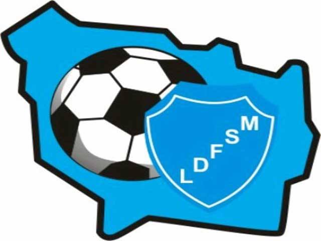 Logo Liga San Martín